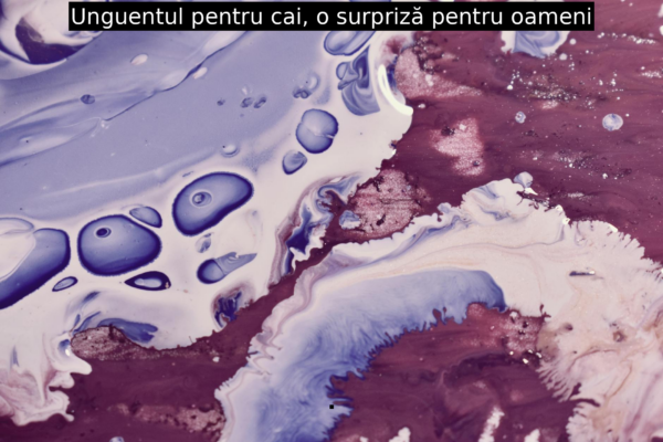 Unguentul pentru cai, o surpriză pentru oameni