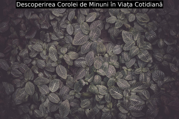 Descoperirea Corolei de Minuni în Viața Cotidiană