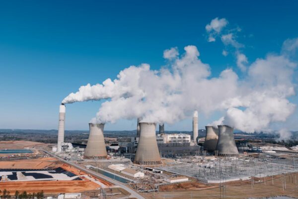 Ce înseamnă poluarea cu deșeuri toxice și cum afectează mediul?