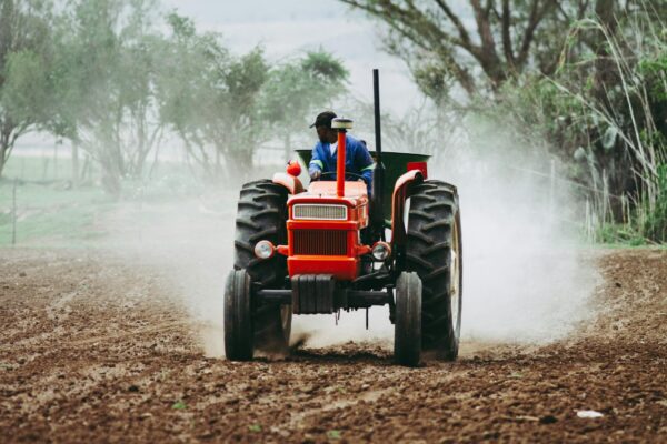 Ce înseamnă poluarea datorată agriculturii intensive?