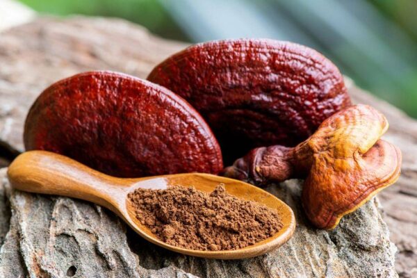 Top 3 Cele Mai Populare Suplimente cu Ciuperca Ganoderma
